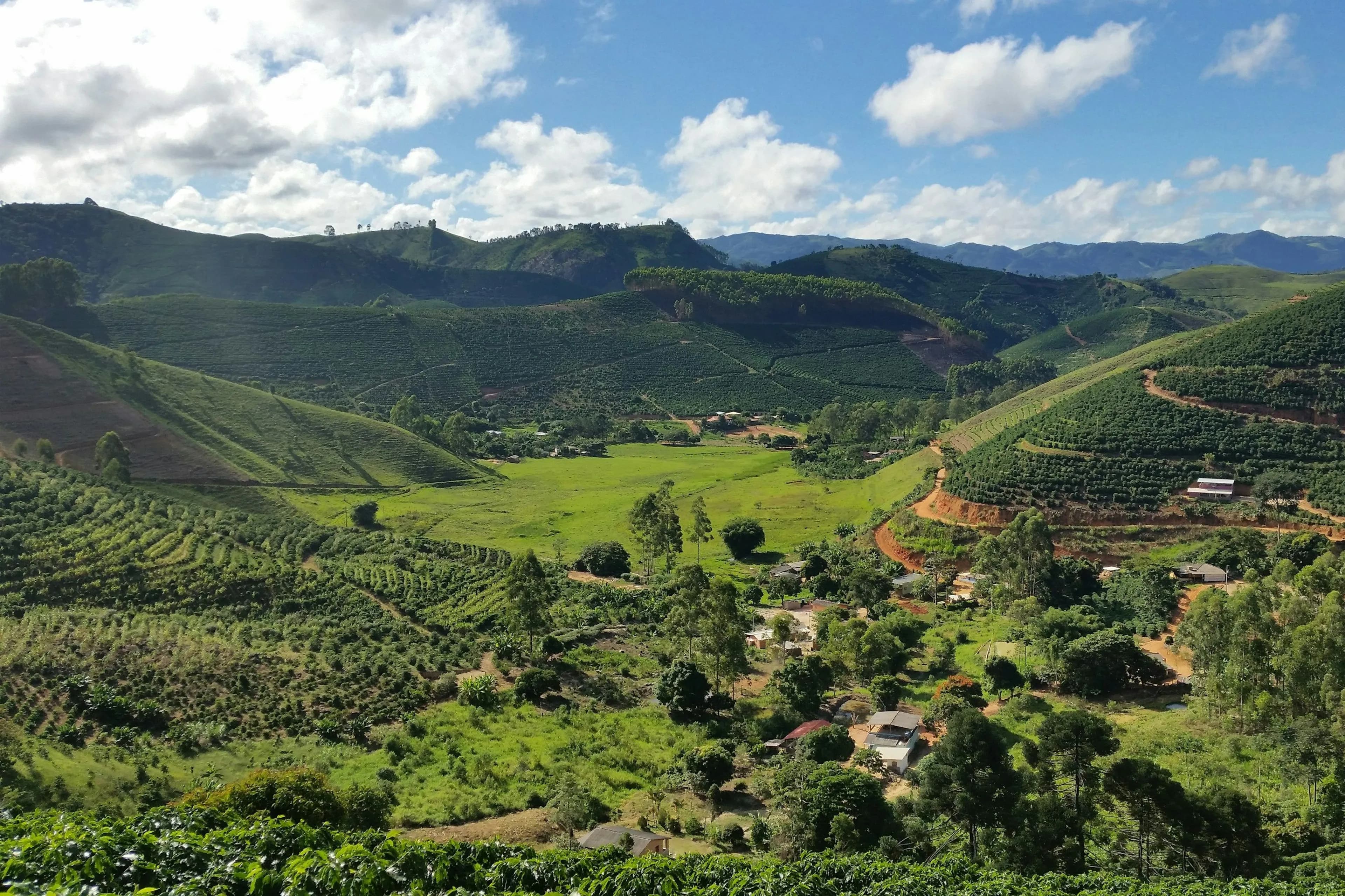 Caparaó